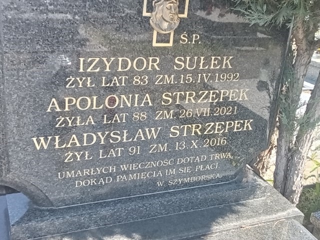 Izydor Sułek 1909 Puławy - Grobonet - Wyszukiwarka osób pochowanych