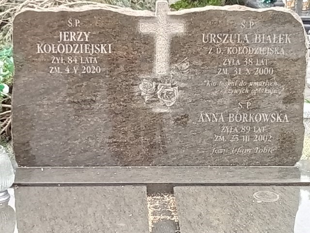 Jerzy Kołodziejski 1936 Puławy - Grobonet - Wyszukiwarka osób pochowanych