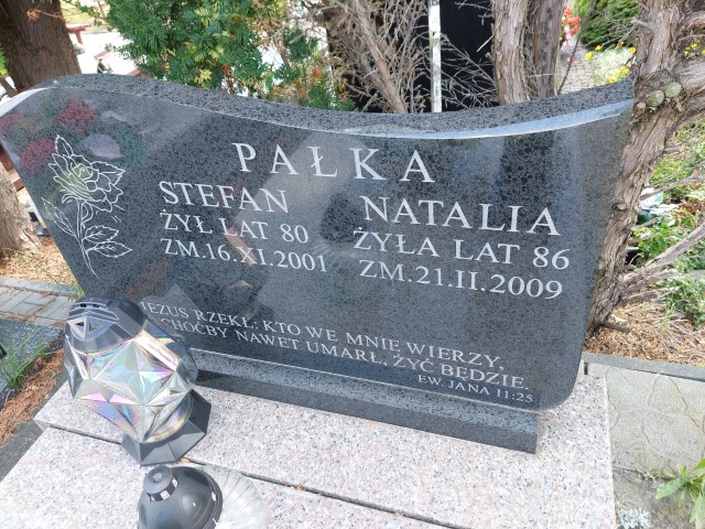 Stefan Pałka 1921 Puławy - Grobonet - Wyszukiwarka osób pochowanych