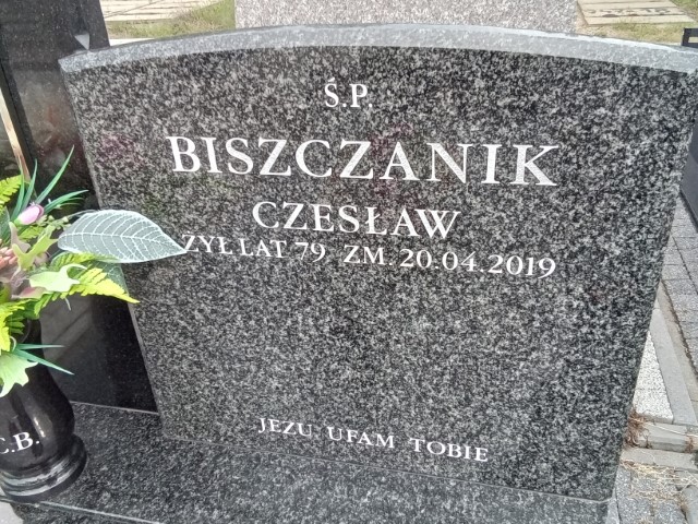 Piotr Biszczanik 1970 Puławy - Grobonet - Wyszukiwarka osób pochowanych