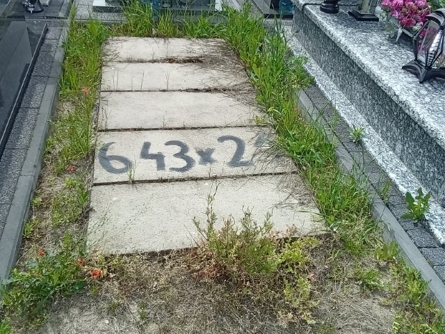 Grób Bolesław Smogór